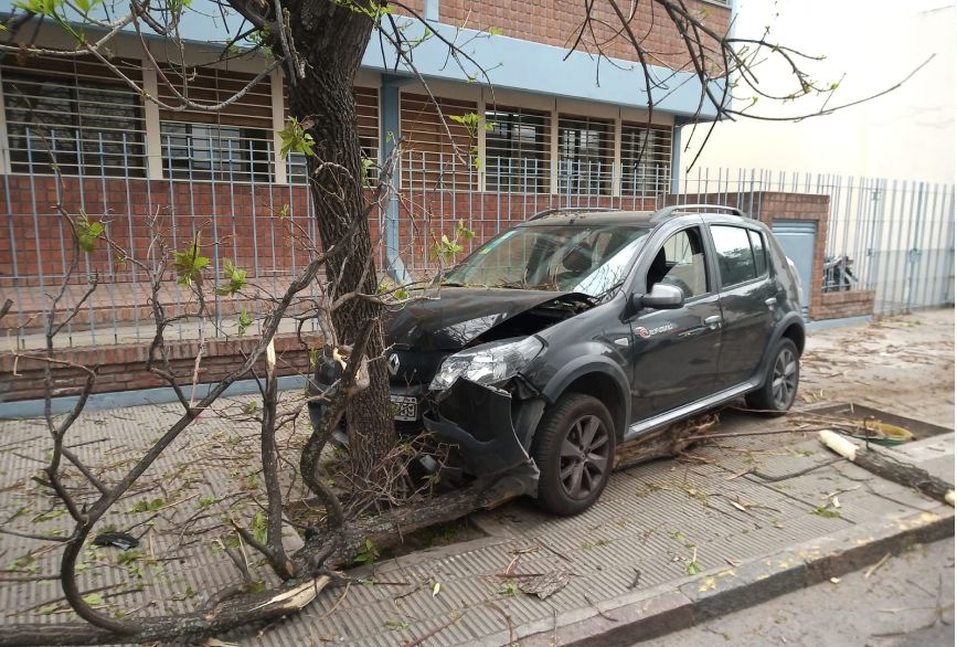 Pudo ser peor: desperfecto mecánico la llevo a subir la vereda de un colegio y chocar un árbol