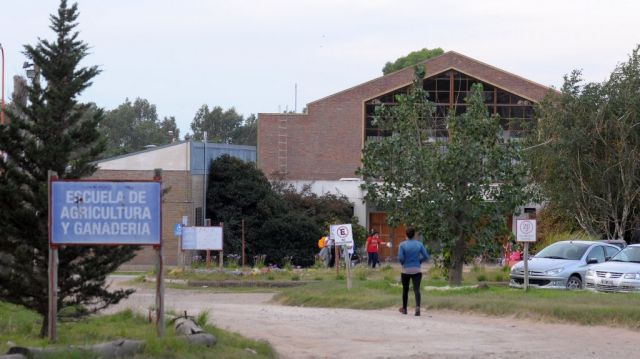 Cómo se hará la inscripción a la Escuela de Agricultura de la UNS