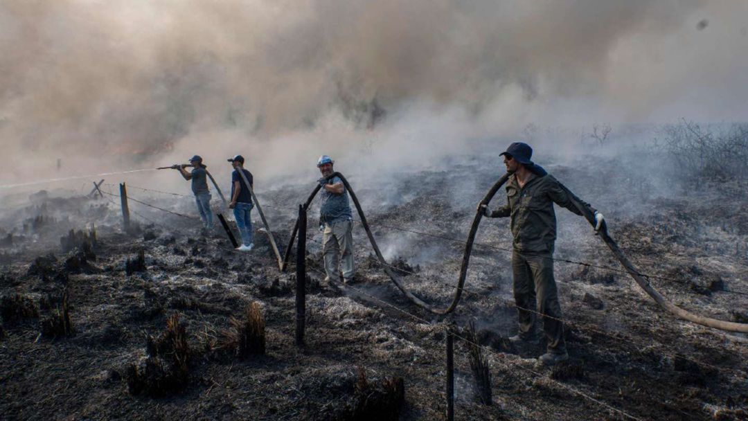 Fuego en Corrientes: a pesar de que llegaron las lluvias aún hay 8 incendios activos