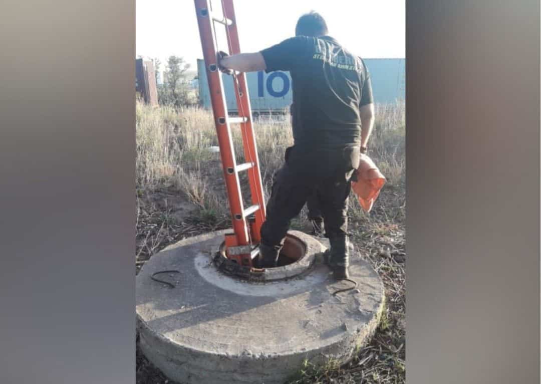 Video: se robaron la tapa de la cloaca, el pozo quedó descubierto y ahora se cayó un perro