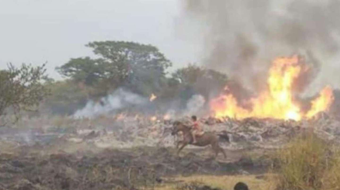 Corrientes declaró la “Emergencia Agropecuaria”: se duplicaron las hectáreas incendiadas