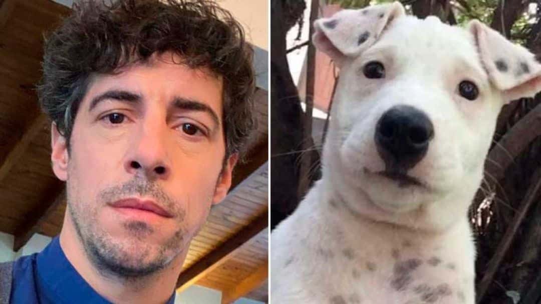 La divertidísima reacción de Esteban Lamothe a la foto viral de un perro igual a él: “Es algo mío sí o sí”