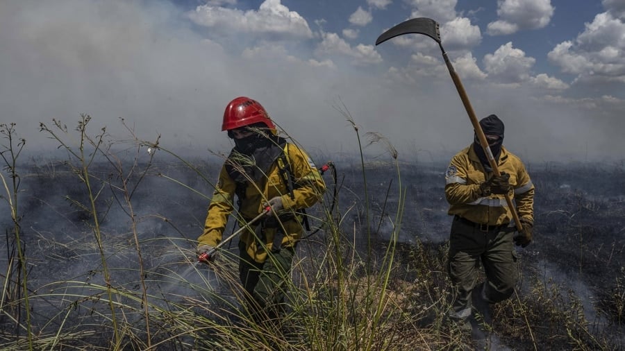 Incendios forestales: hay focos activos en Corrientes y Río Negro