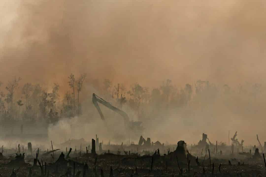 Día de la Tierra: los últimos 7 años fueron los más cálidos desde que hay registros