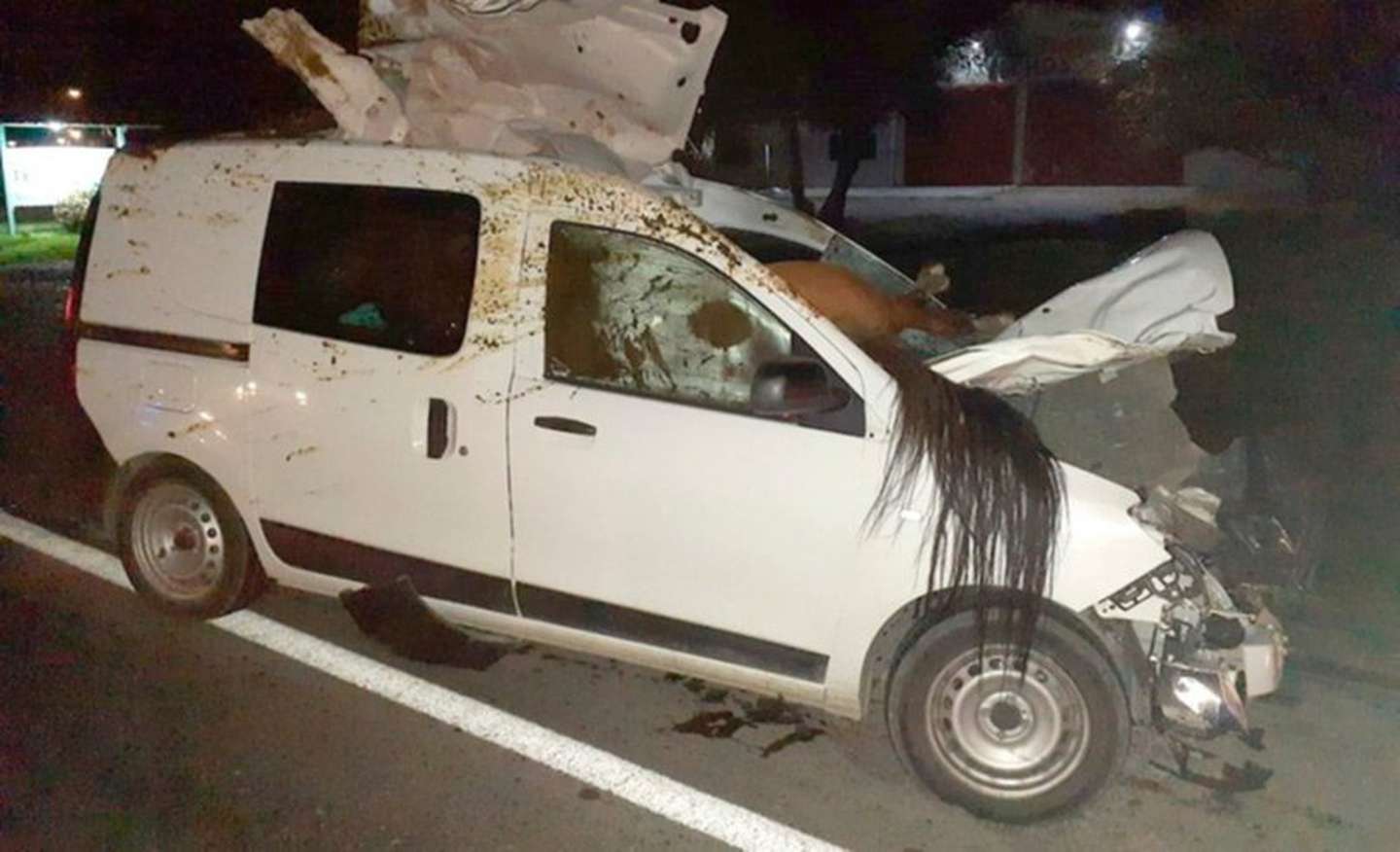 Chubut: una mujer atropelló a un caballo y el animal quedó incrustado en su camioneta