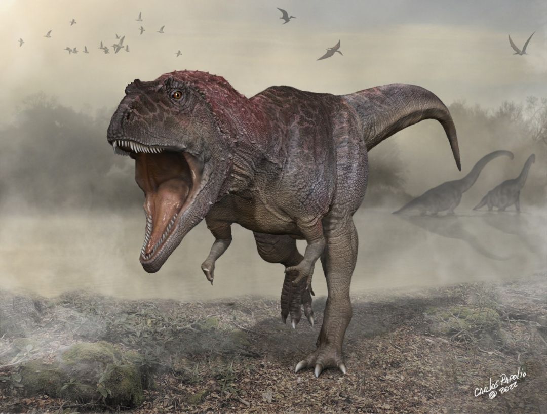 Descubren en la patagonia una nueva especie de dinosaurio con brazos pequeños como el T. rex