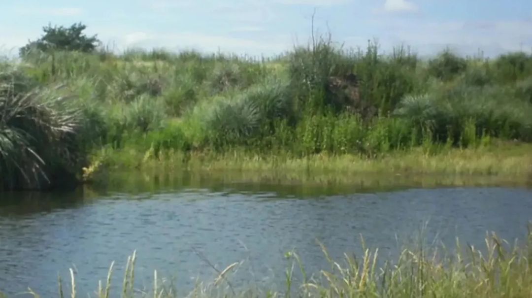 El cadáver de un jubilado apareció en un tanque de agua y la familia sospecha que lo mató su hijo