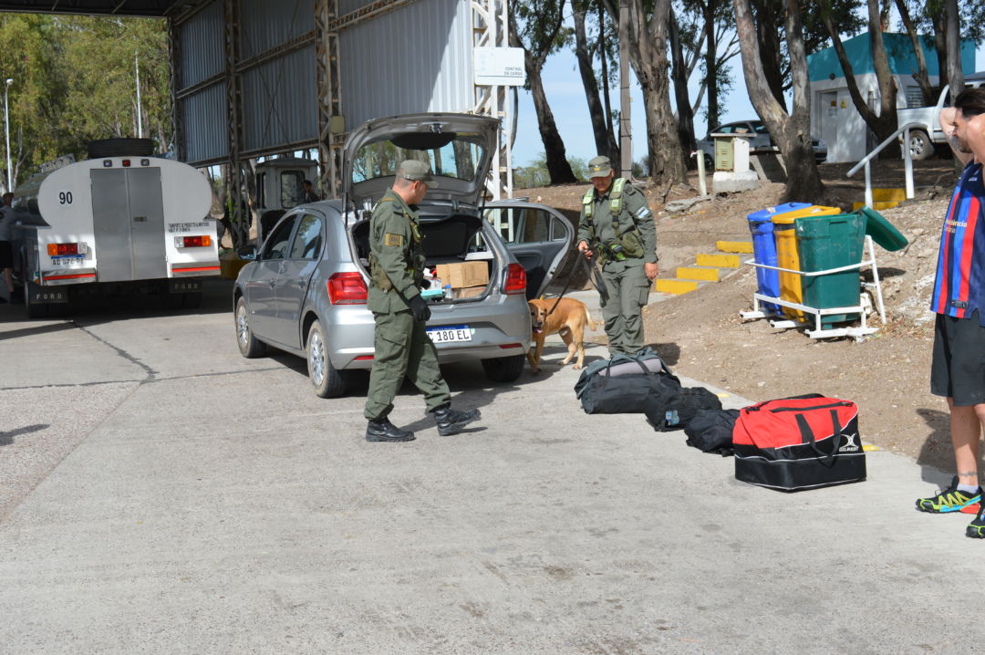 Operativo en el puesto fitosanitario: Gendarmería secuestró cocaína, marihuana y LSD