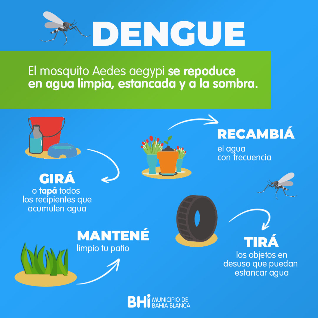 Recomendaciones para prevenir la proliferación de Dengue, Zika y Cikungunya