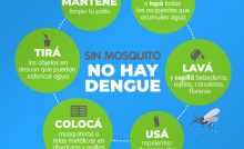 dengue