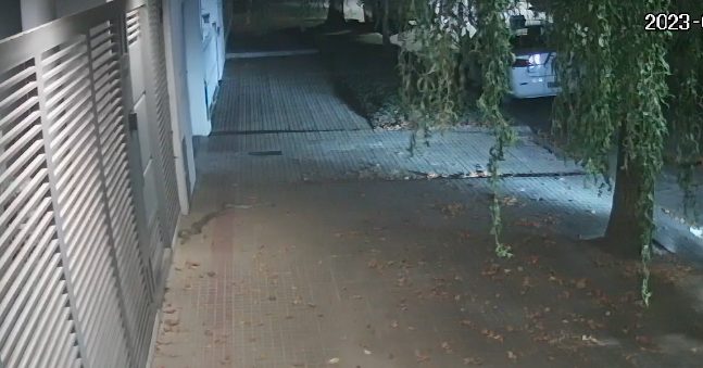 Una serpiente pitón irrumpió en la puerta de una casa y asustó a los vecinos