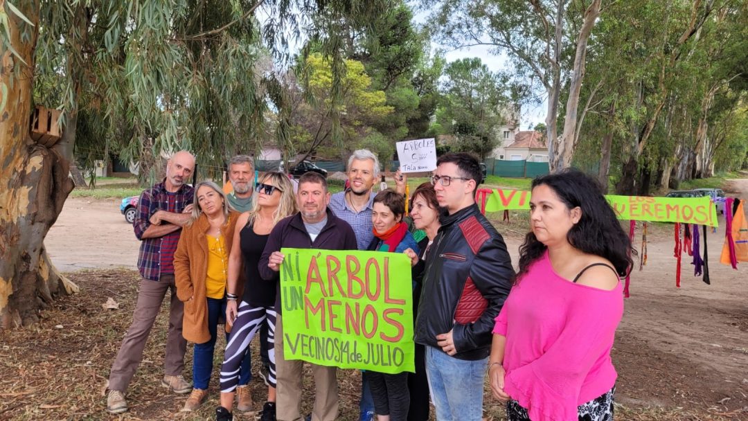 Polémica por los árboles de 14 de julio: grupo de vecinos se sigue oponiendo a la tala