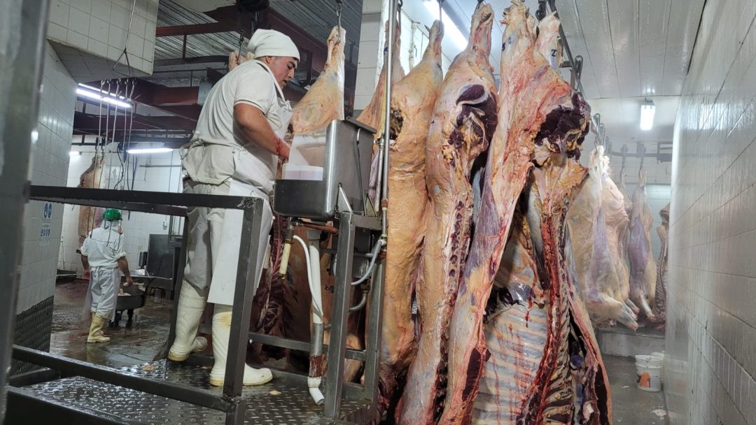 La carne aumentó más del 50 %