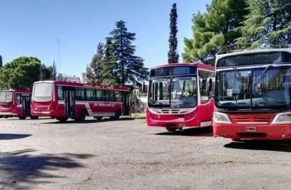 En Punta Alta, también serán gratuitos los colectivos el próximo domingo