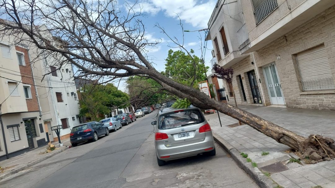 Secuelas del fuerte viento durante todo el día en nuestra ciudad