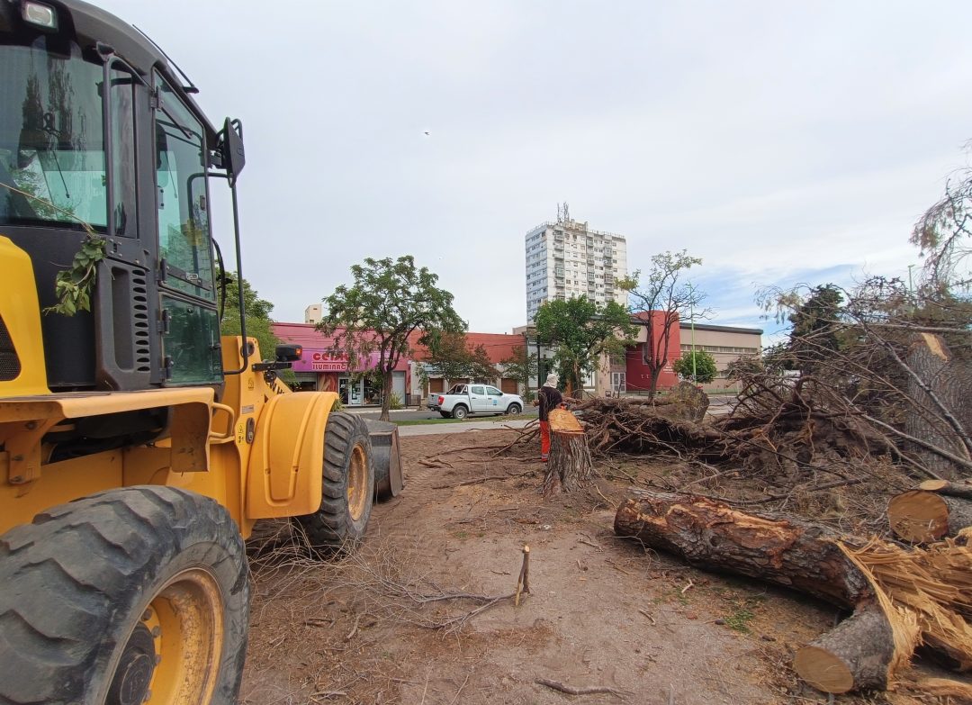 Comenzaron los trabajos de limpieza en la Plaza Brown