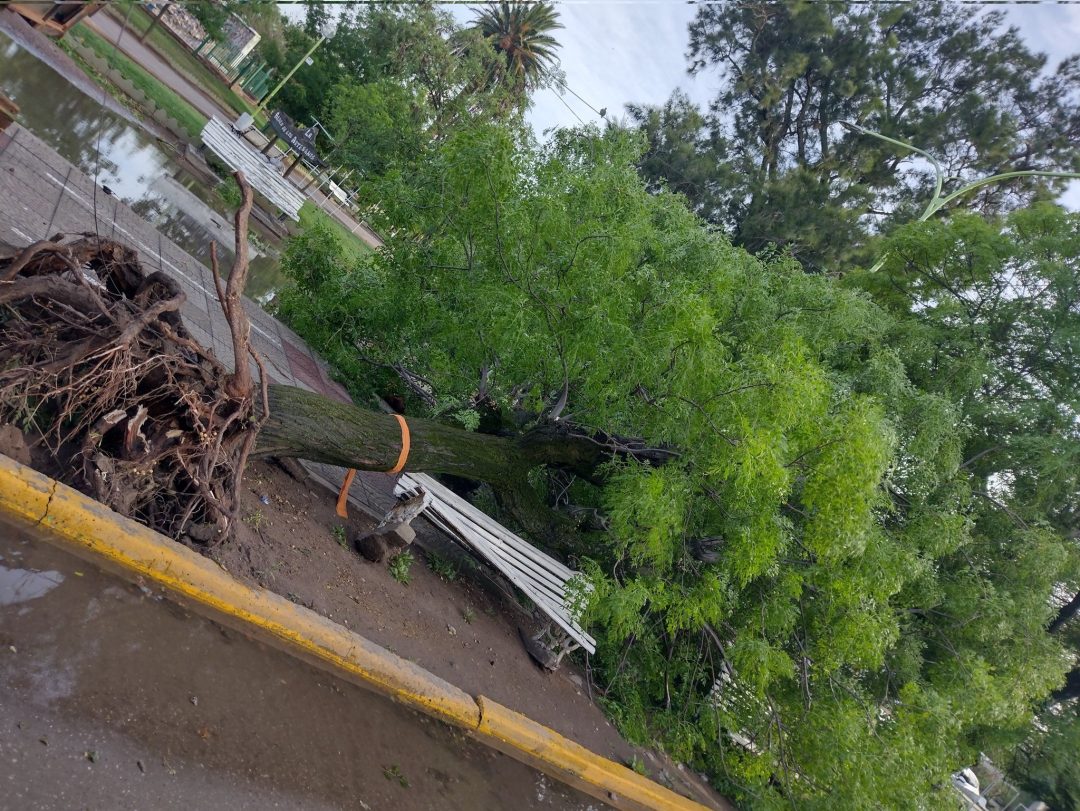 Punta Alta: Jornada solidaria en Villa Arias