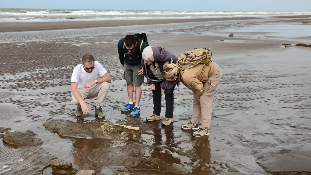 Estudiante de Geología descubre restos fósiles durante sus vacaciones