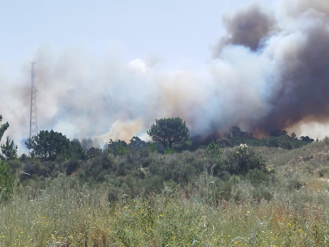 Cortan el ingreso a Monte Hermoso por un nuevo incendio de pastizales