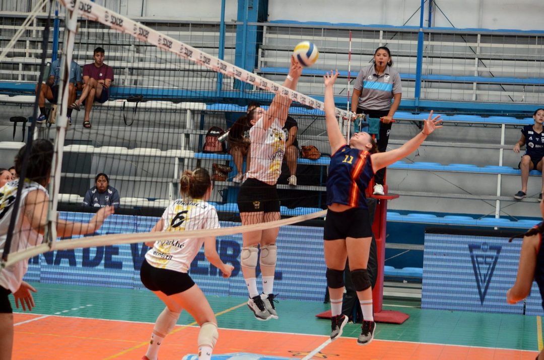 Liga Federal de Voley: los elencos bahienses arrancaron con derrota