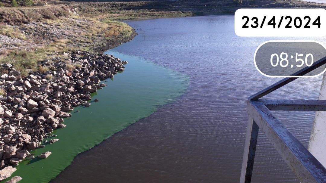 Otra vez! Dique Paso de las Piedras con algas. Zonas sin agua o bajo caudal