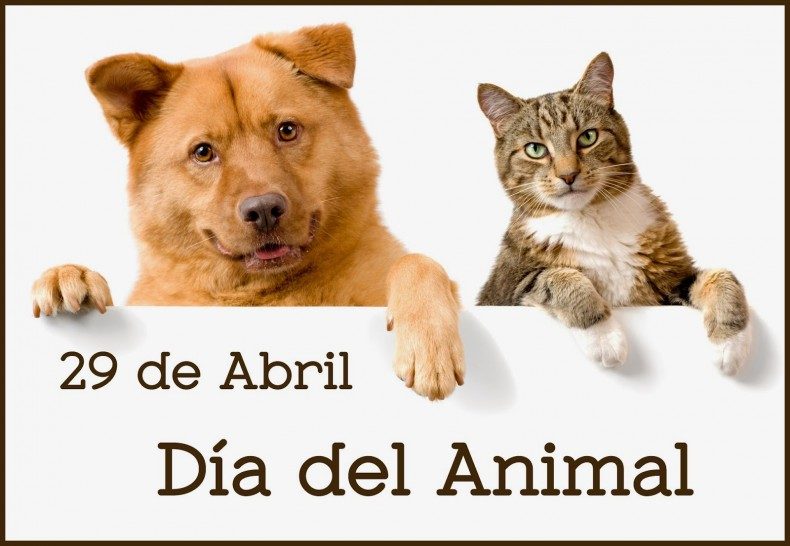 dia del animal