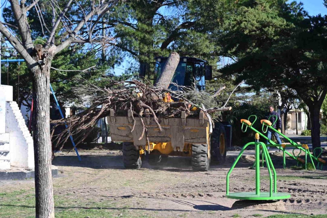 Operativo de limpieza en la isla del Parque de Mayo