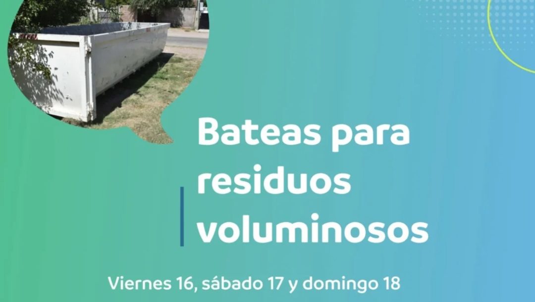 Dónde se ubican las bateas para residuos grandes