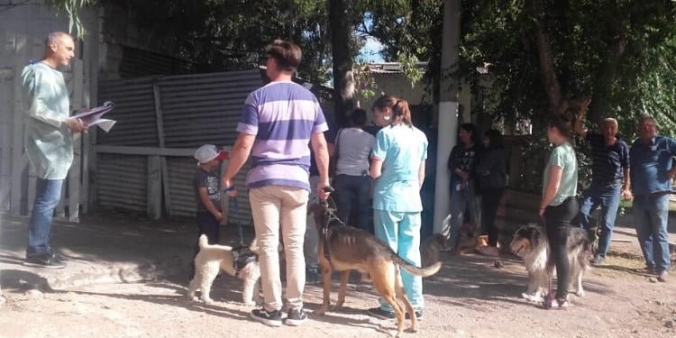 Se llevará a cabo la tercera campaña de castración de mascotas en Monte Hermoso