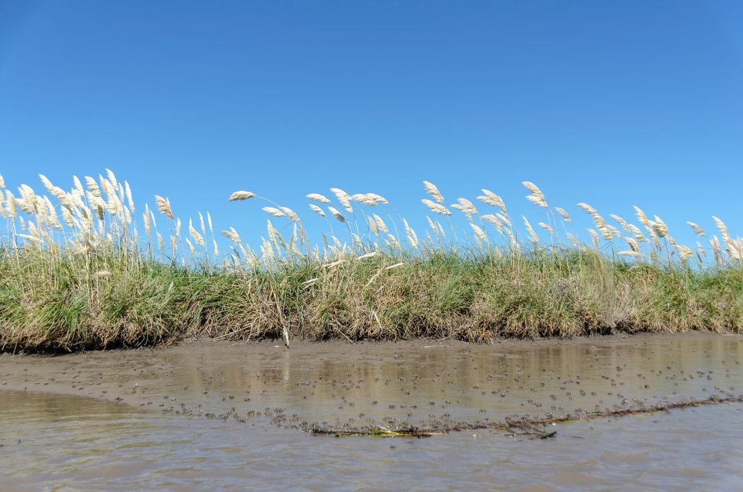 Jornadas “20 años Conservando la Biodiversidad”