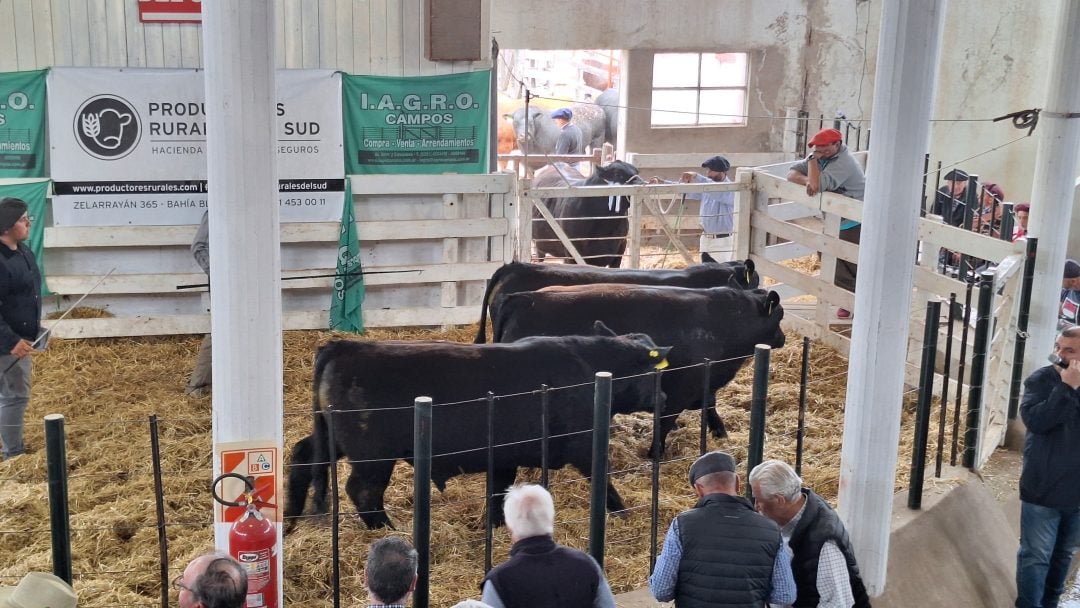 Villa Bordeu: balance positivo de la exposición rural de este año