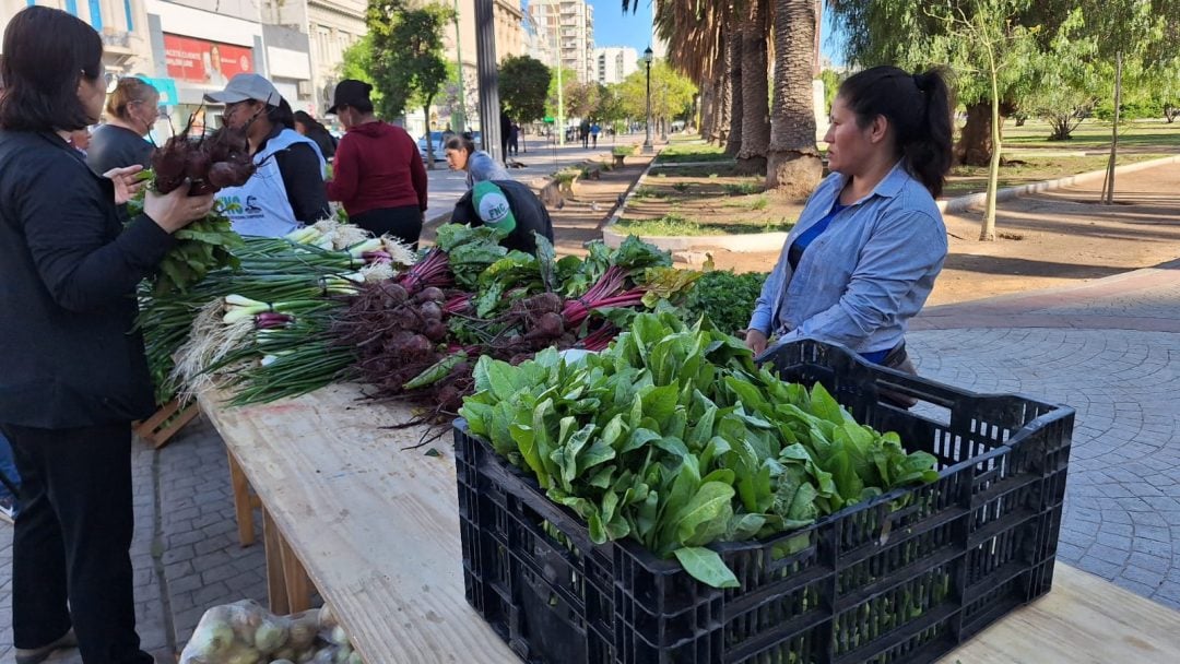 Productores de la zona realizan un “verdurazo” en la Plaza Rivadavia