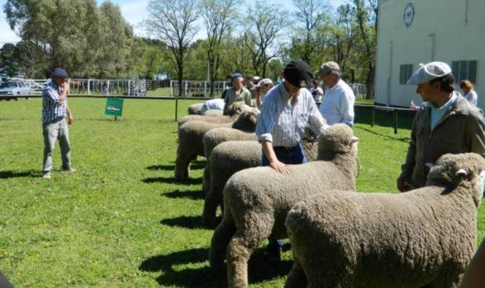 Se viene la 78° Exposición de la Sociedad Rural de Coronel Pringles