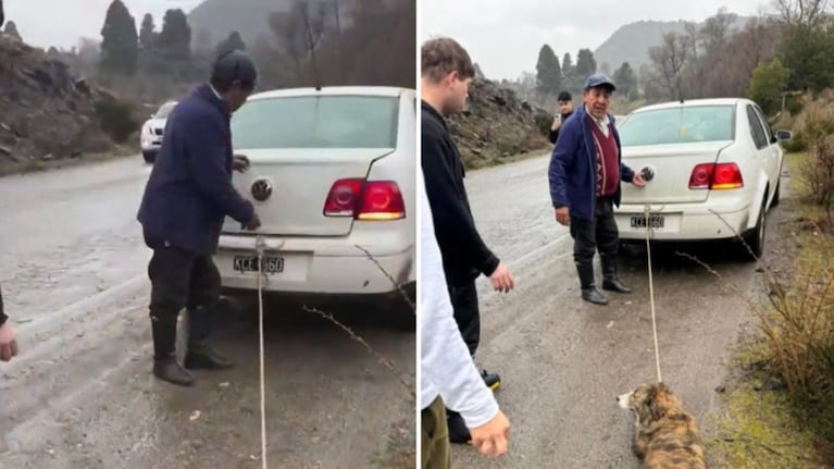 San Martín de los Andes: ató a su perro al auto y lo arrastró porque estaba mojado y “tenía olor”