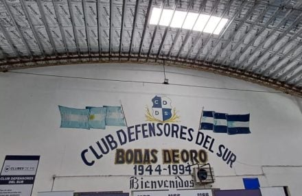 defensores del sur