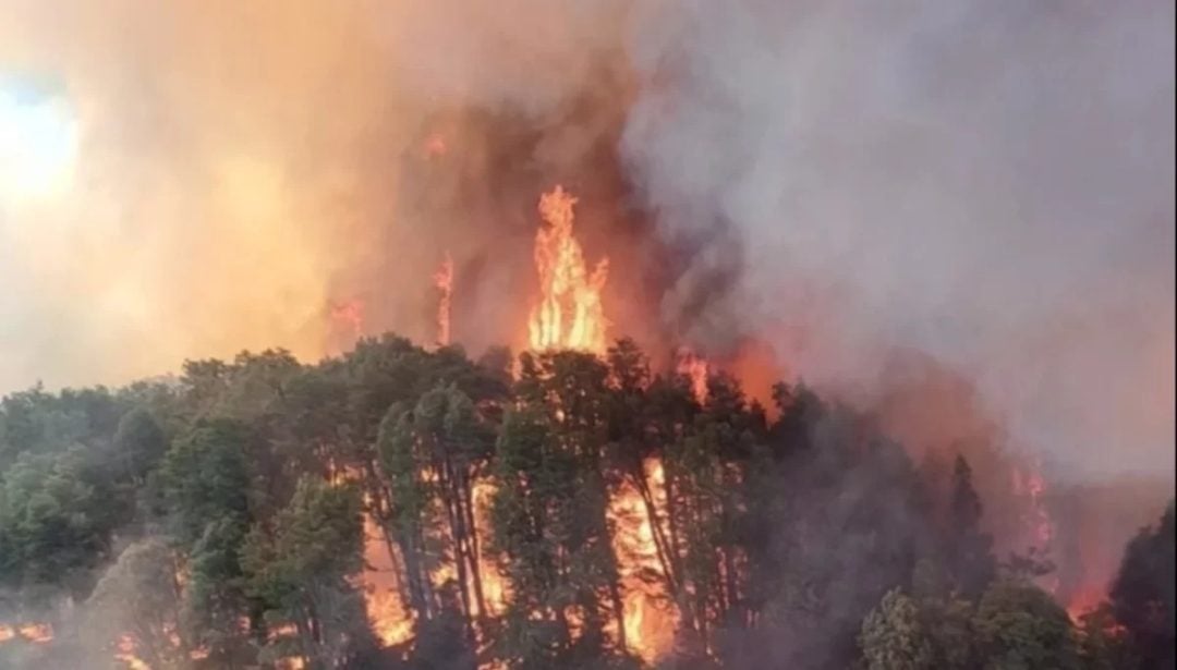 El incendio en el Parque Nacional Nahuel Huapi ya arrasó 1800 hectáreas: combaten las llamas por aire y tierra