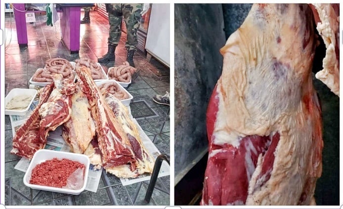 Condenaron a un carnicero por tener más de 180 kilos de carne proveniente de la faena clandestina