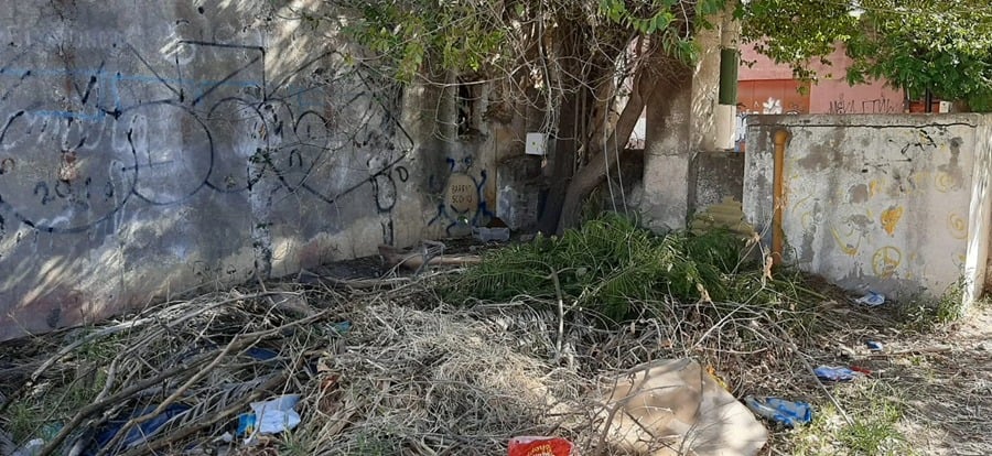 Preocupación por el estado de abandono del predio del Hospital Penna